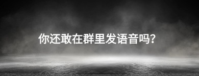 不要在微信群里发语音